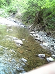080511DVC00207.jpg