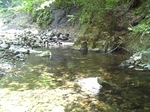 080511DVC00210.jpg