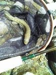 080511DVC00212.jpg